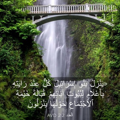Picture 03 - اَلْعَدَد 2:2 AVD - «يَنْزِلُ بَنُو - Bible Verse Picture