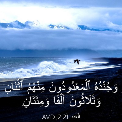 Picture 03 - اَلْعَدَد 2:21 AVD - وَجُنْدُهُ - Bible Verse Picture