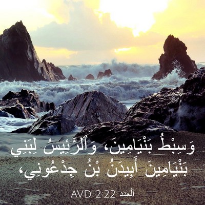Picture 03 - اَلْعَدَد 2:22 AVD - وَسِبْطُ بَنْيَامِينَ، - Bible Verse Picture