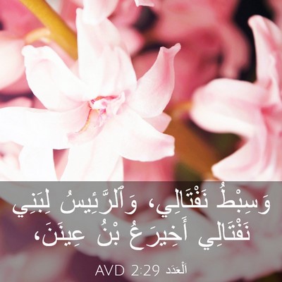 Picture 03 - اَلْعَدَد 2:29 AVD - وَسِبْطُ نَفْتَالِي، - Bible Verse Picture