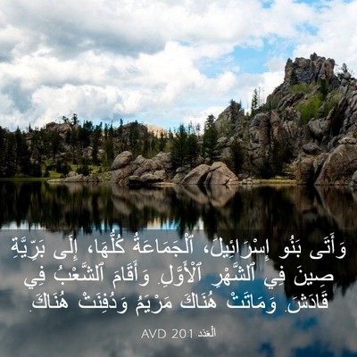 Picture 03 - اَلْعَدَد 20:1 AVD - وَأَتَى بَنُو - Bible Verse Picture