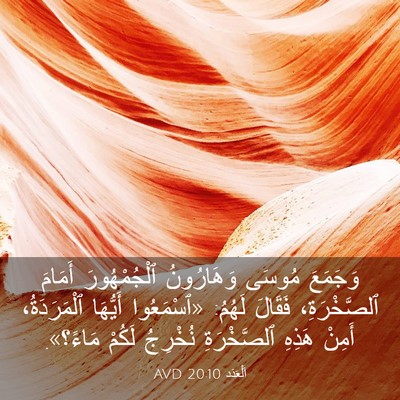 Picture 03 - اَلْعَدَد 20:10 AVD - وَجَمَعَ مُوسَى - Bible Verse Picture