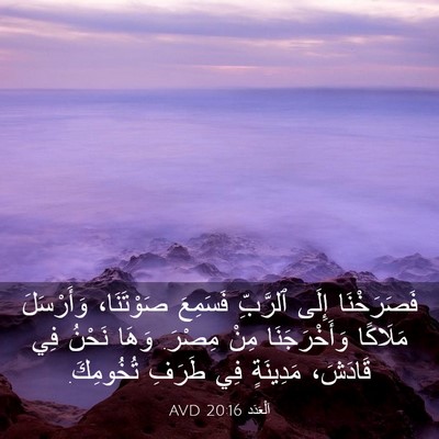 Picture 03 - اَلْعَدَد 20:16 AVD - فَصَرَخْنَا إِلَى - Bible Verse Picture