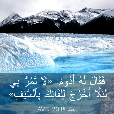 Picture 03 - اَلْعَدَد 20:18 AVD - فَقَالَ لَهُ أَدُومُ: «لَا - Bible Verse Picture
