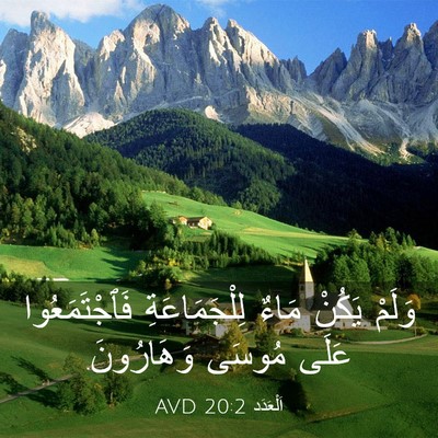 Picture 03 - اَلْعَدَد 20:2 AVD - وَلَمْ يَكُنْ مَاءٌ - Bible Verse Picture