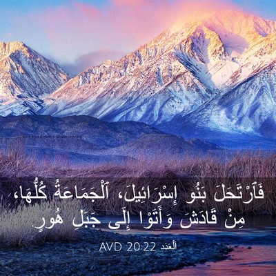 Picture 03 - اَلْعَدَد 20:22 AVD - فَٱرْتَحَلَ بَنُو - Bible Verse Picture