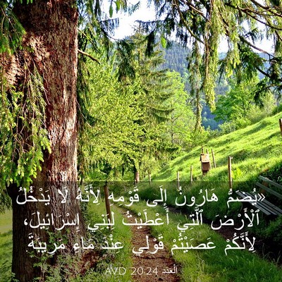 Picture 03 - اَلْعَدَد 20:24 AVD - «يُضَمُّ هَارُونُ إِلَى - Bible Verse Picture