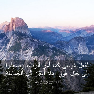 Picture 03 - اَلْعَدَد 20:27 AVD - فَفَعَلَ مُوسَى كَمَا - Bible Verse Picture
