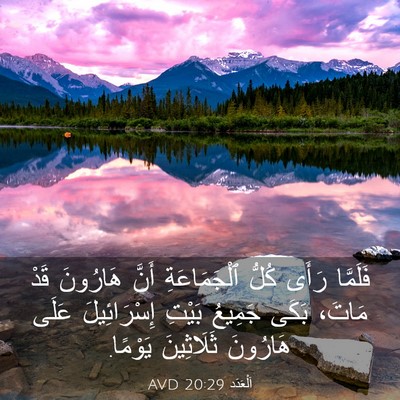 Picture 03 - اَلْعَدَد 20:29 AVD - فَلَمَّا رَأَى كُلُّ - Bible Verse Picture