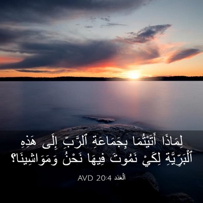 Picture 03 - اَلْعَدَد 20:4 AVD - لِمَاذَا أَتَيْتُمَا - Bible Verse Picture