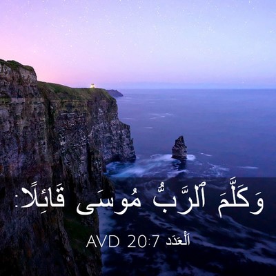 Picture 03 - اَلْعَدَد 20:7 AVD - وَكَلَّمَ ٱلرَّبُّ مُوسَى - Bible Verse Picture