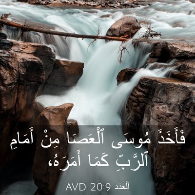 Picture 03 - اَلْعَدَد 20:9 AVD - فَأَخَذَ مُوسَى ٱلْعَصَا - Bible Verse Picture