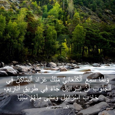Picture 03 - اَلْعَدَد 21:1 AVD - وَلَمَّا سَمِعَ - Bible Verse Picture