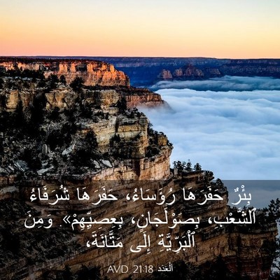 Picture 03 - اَلْعَدَد 21:18 AVD - بِئْرٌ حَفَرَهَا - Bible Verse Picture