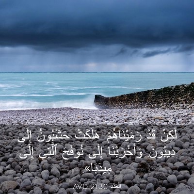 Picture 03 - اَلْعَدَد 21:30 AVD - لَكِنْ قَدْ رَمَيْنَاهُمْ. - Bible Verse Picture