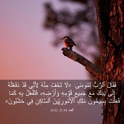 Picture 03 - اَلْعَدَد 21:34 AVD - فَقَالَ ٱلرَّبُّ لِمُوسَى: - Bible Verse Picture