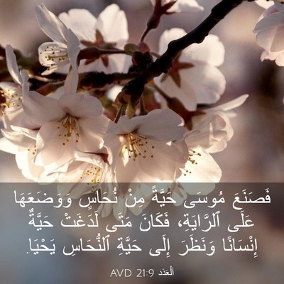 Picture 03 - اَلْعَدَد 21:9 AVD - فَصَنَعَ مُوسَى حَيَّةً - Bible Verse Picture