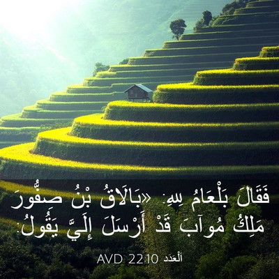 Picture 03 - اَلْعَدَد 22:10 AVD - فَقَالَ بَلْعَامُ لِلهِ: - Bible Verse Picture