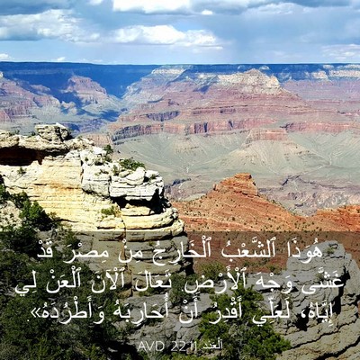 Picture 03 - اَلْعَدَد 22:11 AVD - هُوَذَا ٱلشَّعْبُ - Bible Verse Picture
