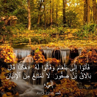 Picture 03 - اَلْعَدَد 22:16 AVD - فَأَتَوْا إِلَى بَلْعَامَ - Bible Verse Picture