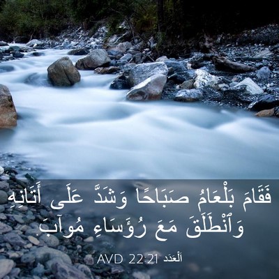 Picture 03 - اَلْعَدَد 22:21 AVD - فَقَامَ بَلْعَامُ - Bible Verse Picture