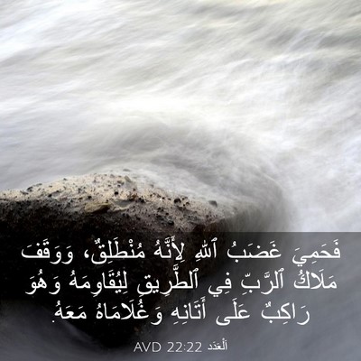 Picture 03 - اَلْعَدَد 22:22 AVD - فَحَمِيَ غَضَبُ ٱللهِ - Bible Verse Picture
