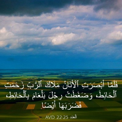 Picture 03 - اَلْعَدَد 22:25 AVD - فَلَمَّا أَبْصَرَتِ - Bible Verse Picture