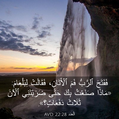 Picture 03 - اَلْعَدَد 22:28 AVD - فَفَتَحَ ٱلرَّبُّ فَمَ - Bible Verse Picture
