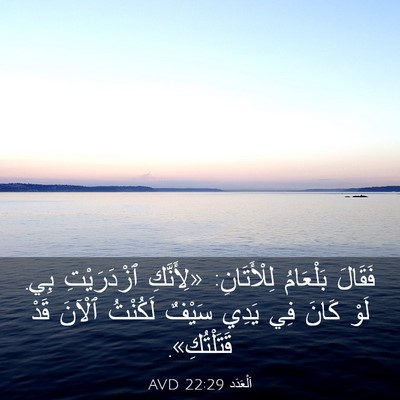 Picture 03 - اَلْعَدَد 22:29 AVD - فَقَالَ بَلْعَامُ - Bible Verse Picture