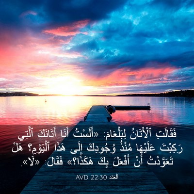 Picture 03 - اَلْعَدَد 22:30 AVD - فَقَالَتِ ٱلْأَتَانُ - Bible Verse Picture