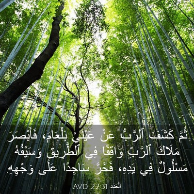 Picture 03 - اَلْعَدَد 22:31 AVD - ثُمَّ كَشَفَ ٱلرَّبُّ عَنْ - Bible Verse Picture