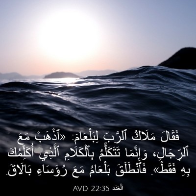 Picture 03 - اَلْعَدَد 22:35 AVD - فَقَالَ مَلَاكُ ٱلرَّبِّ - Bible Verse Picture