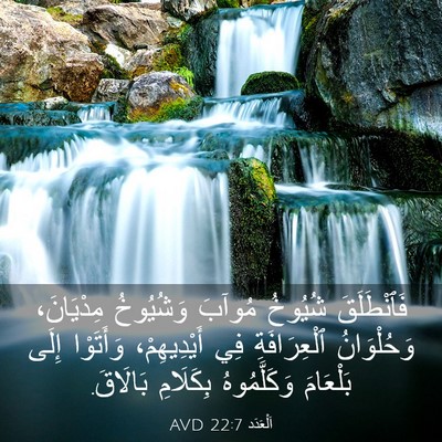 Picture 03 - اَلْعَدَد 22:7 AVD - فَٱنْطَلَقَ شُيُوخُ - Bible Verse Picture