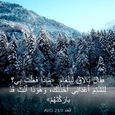 Picture 03 - اَلْعَدَد 23:11 AVD - فَقَالَ بَالَاقُ - Bible Verse Picture