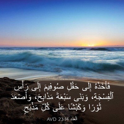 Picture 03 - اَلْعَدَد 23:14 AVD - فَأَخَذَهُ إِلَى حَقْلِ - Bible Verse Picture