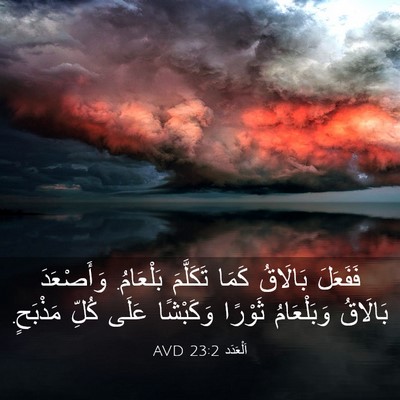 Picture 03 - اَلْعَدَد 23:2 AVD - فَفَعَلَ بَالَاقُ كَمَا - Bible Verse Picture