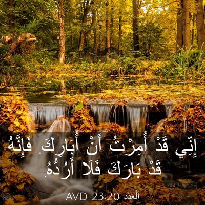 Picture 03 - اَلْعَدَد 23:20 AVD - إِنِّي قَدْ أُمِرْتُ أَنْ - Bible Verse Picture