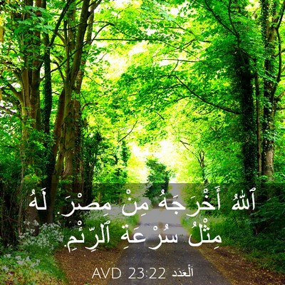 Picture 03 - اَلْعَدَد 23:22 AVD - ٱللهُ أَخْرَجَهُ مِنْ - Bible Verse Picture