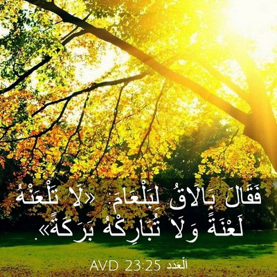 Picture 03 - اَلْعَدَد 23:25 AVD - فَقَالَ بَالَاقُ - Bible Verse Picture