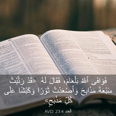 Picture 03 - اَلْعَدَد 23:4 AVD - فَوَافَى ٱللهُ بَلْعَامَ، - Bible Verse Picture