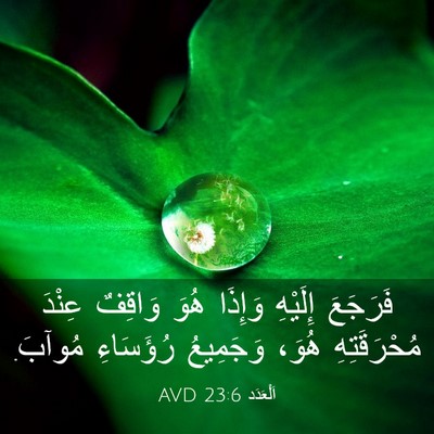Picture 03 - اَلْعَدَد 23:6 AVD - فَرَجَعَ إِلَيْهِ وَإِذَا - Bible Verse Picture