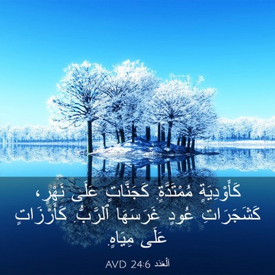 Picture 03 - اَلْعَدَد 24:6 AVD - كَأَوْدِيَةٍ مُمْتَدَّةٍ. - Bible Verse Picture