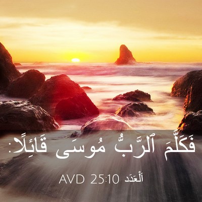 Picture 03 - اَلْعَدَد 25:10 AVD - فَكَلَّمَ ٱلرَّبُّ مُوسَى - Bible Verse Picture