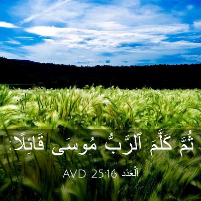Picture 03 - اَلْعَدَد 25:16 AVD - ثُمَّ كَلَّمَ ٱلرَّبُّ - Bible Verse Picture