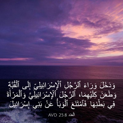 Picture 03 - اَلْعَدَد 25:8 AVD - وَدَخَلَ وَرَاءَ - Bible Verse Picture