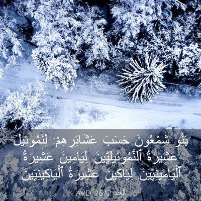 Picture 03 - اَلْعَدَد 26:12 AVD - بَنُو شِمْعُونَ حَسَبَ - Bible Verse Picture