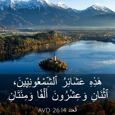 Picture 03 - اَلْعَدَد 26:14 AVD - هَذِهِ عَشَائِرُ - Bible Verse Picture