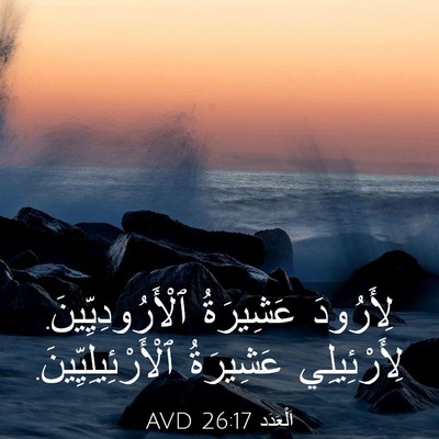 Picture 03 - اَلْعَدَد 26:17 AVD - لِأَرُودَ عَشِيرَةُ - Bible Verse Picture