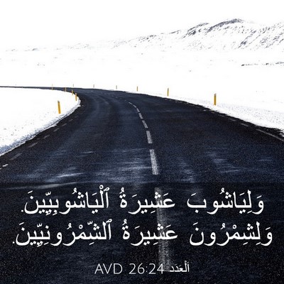 Picture 03 - اَلْعَدَد 26:24 AVD - وَلِيَاشُوبَ عَشِيرَةُ - Bible Verse Picture