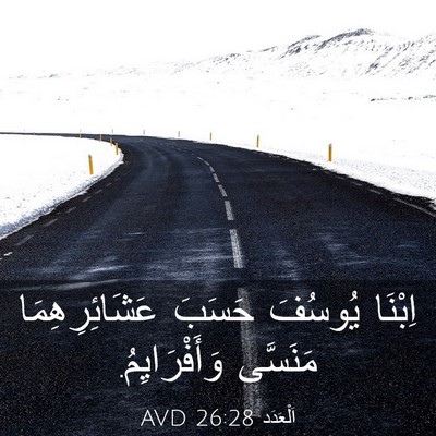 Picture 03 - اَلْعَدَد 26:28 AVD - اِبْنَا يُوسُفَ حَسَبَ - Bible Verse Picture